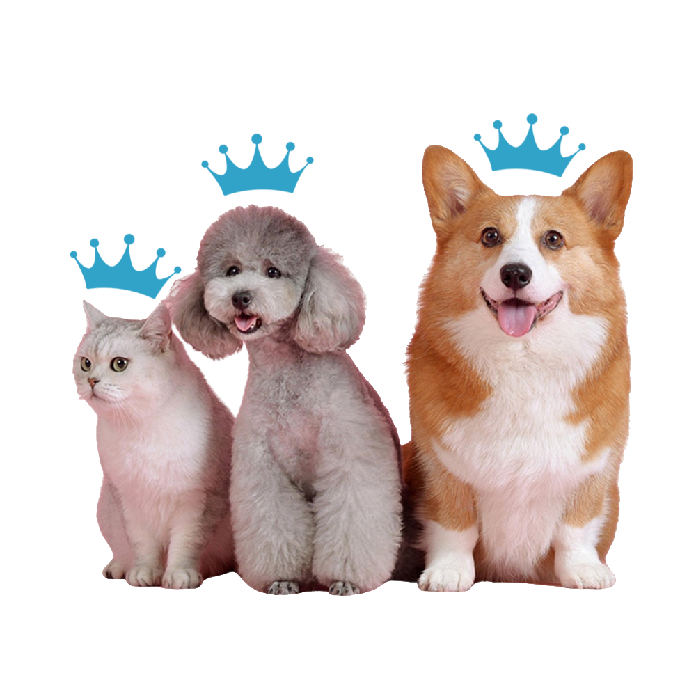 Crown Pet Salon
