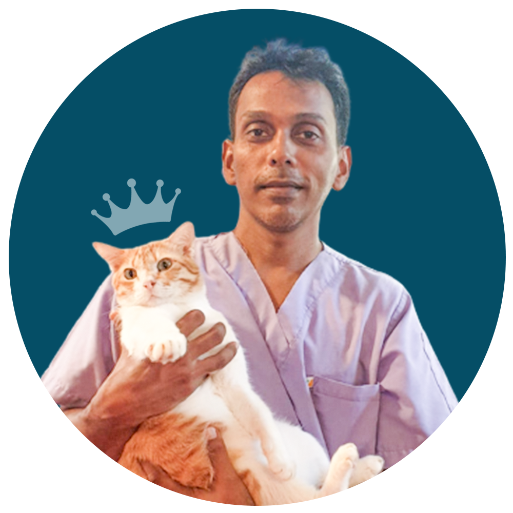 Dr. Chandika Wickramasinghe